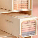 Organizador de Guarda Roupas Premium