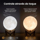 Luminária Lua Cheia 3D